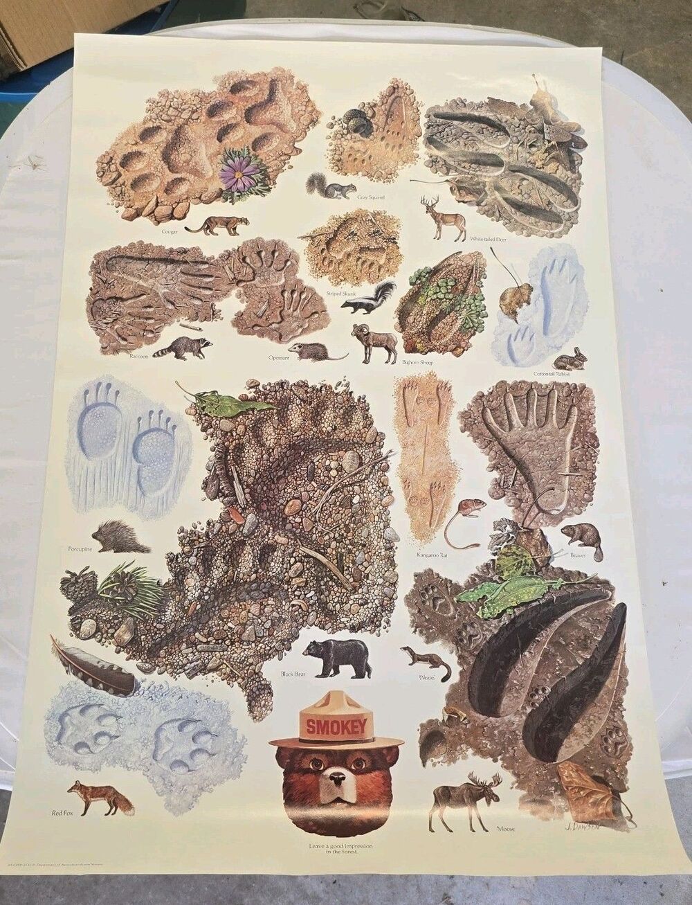 1984 Smokey the Bear leave a good impression animal Tracks Poster USDA 20“ x 30“
